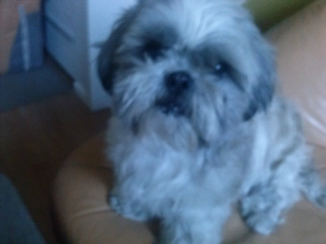 Lilly ;D
