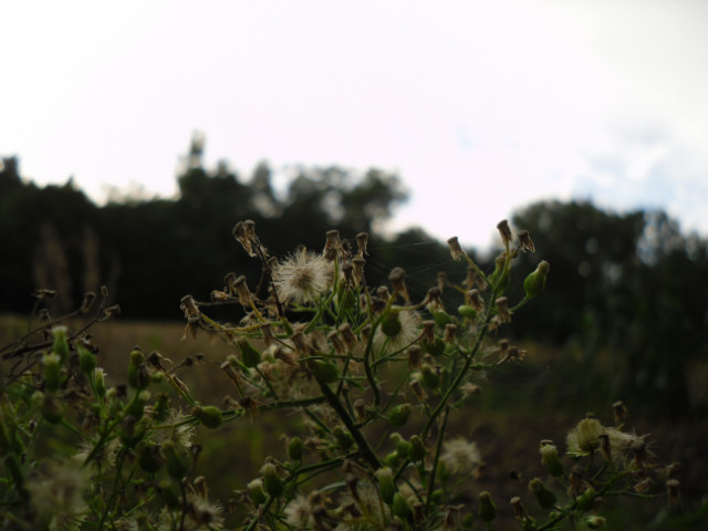 Natura ^^