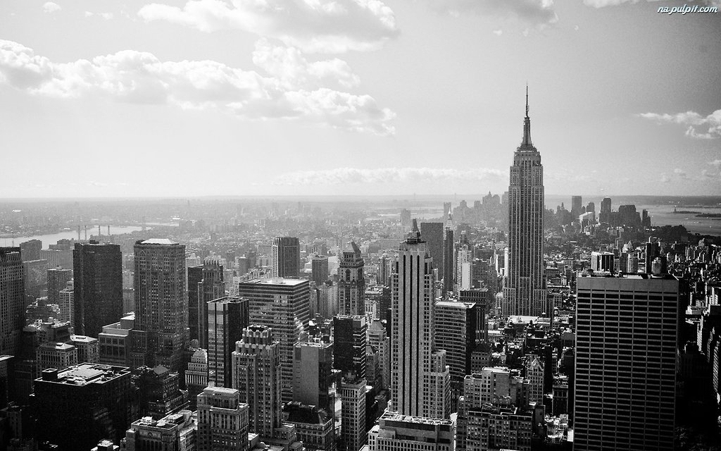 my dream