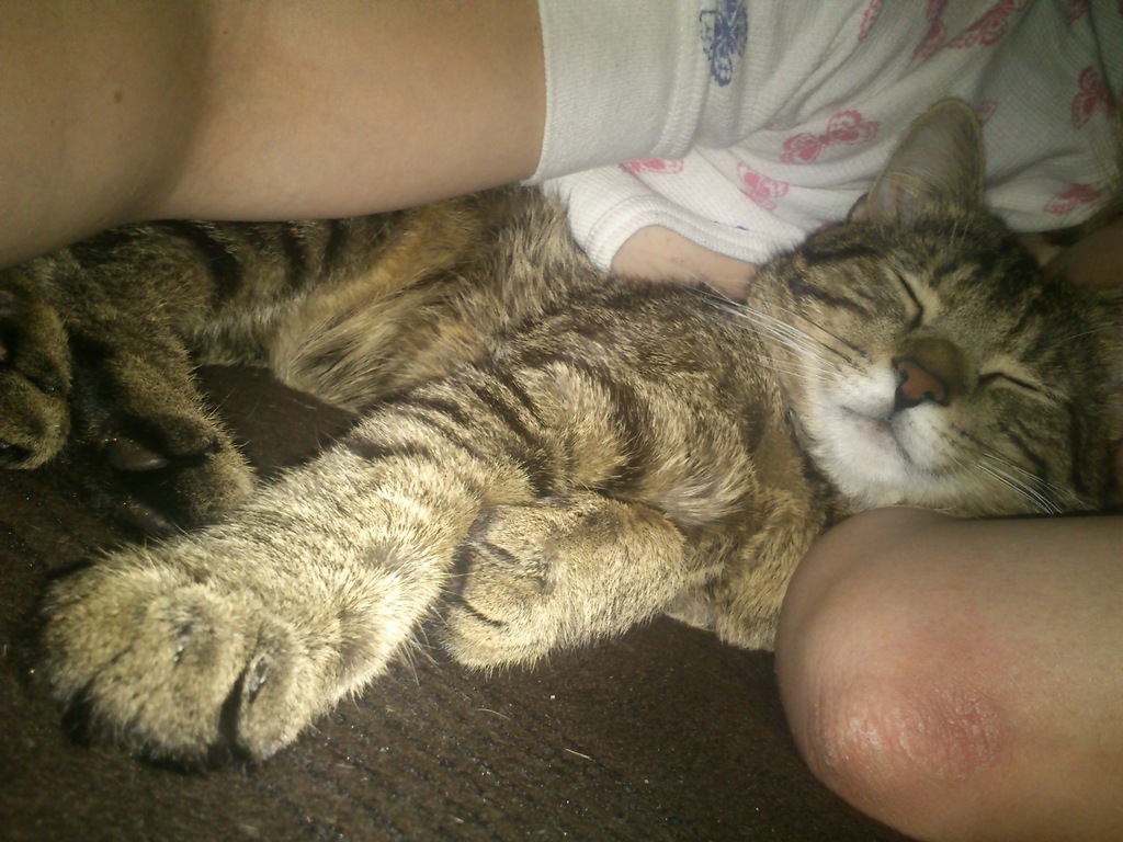 dobranoc ;**