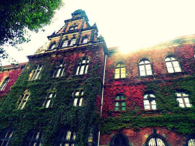 #autumntime