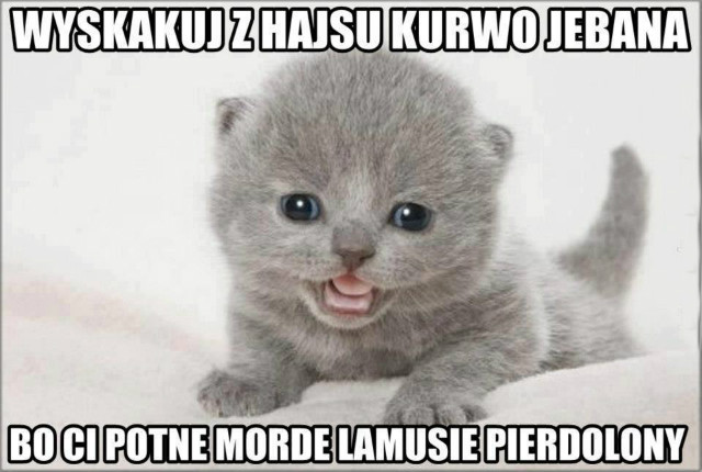 ..