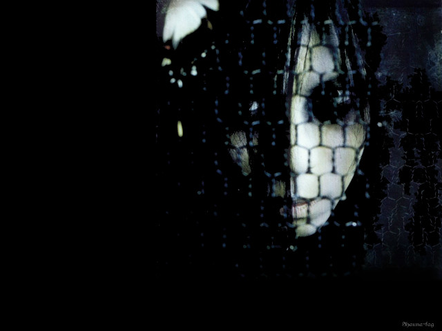 Hizumi 
