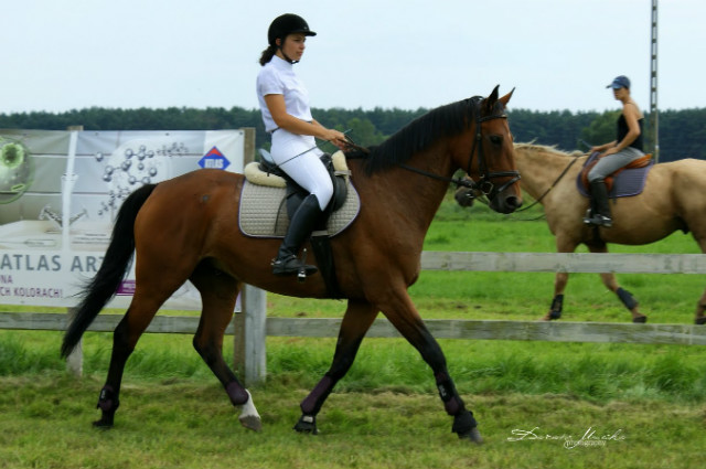 Kaczenice