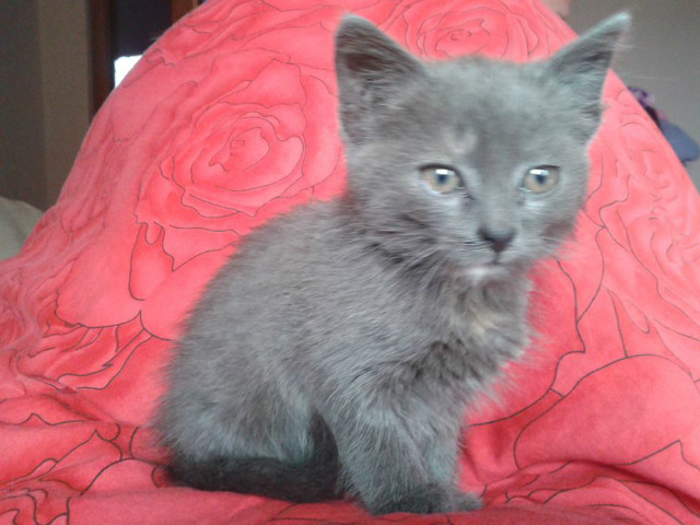 Krystyna :))