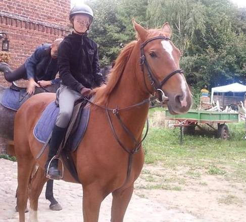 Konie ^^