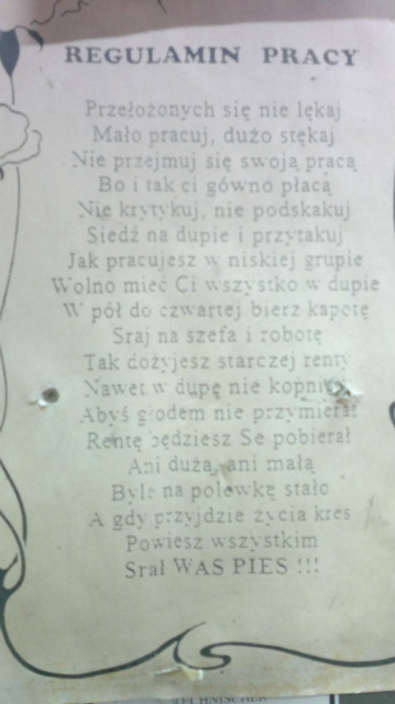 patologie spoeczne
