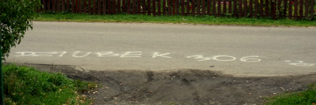 dziUbek306 !