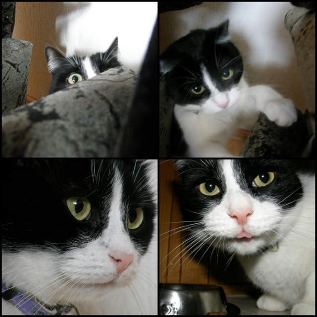 MIMI &#9829;