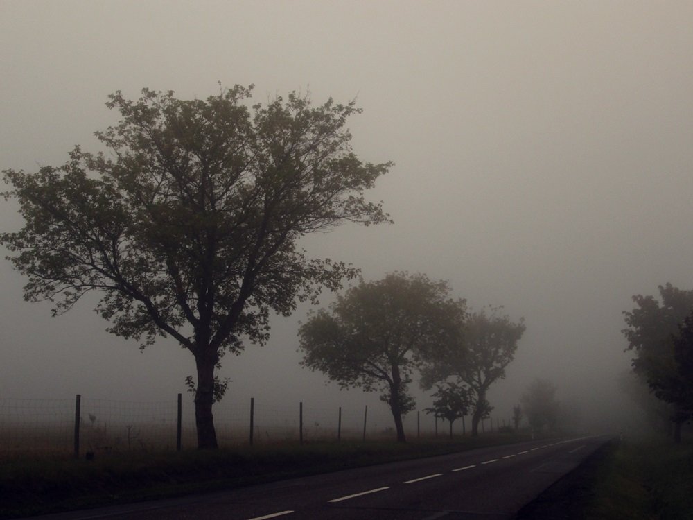 Foggy days.