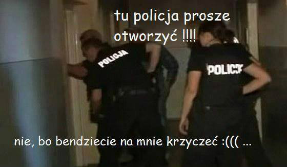 policja 