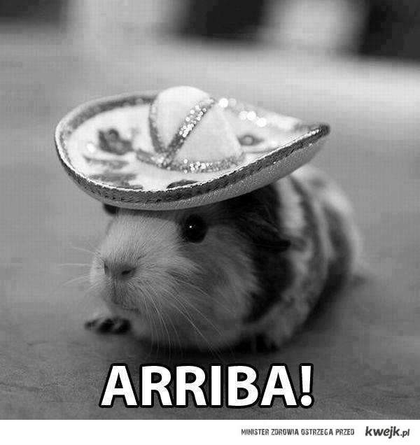 arriba