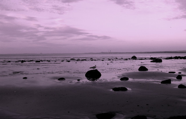 wait for the summer
