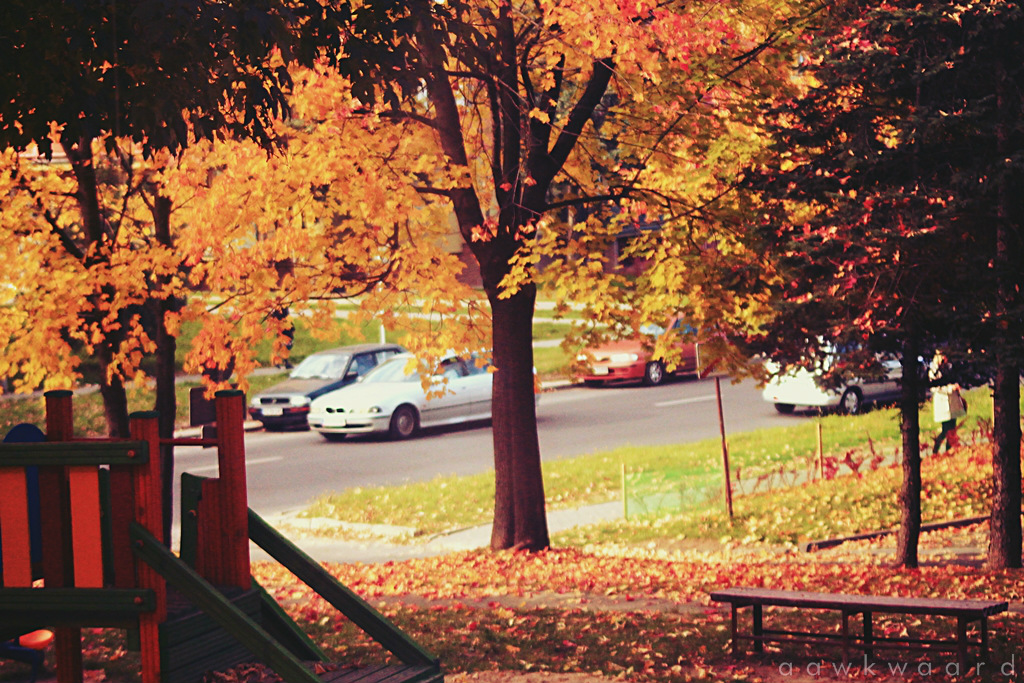 autumn
