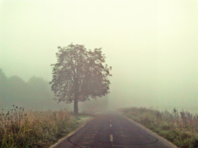 fog