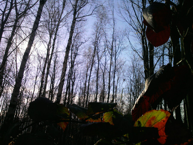 Ostatnia Noc.