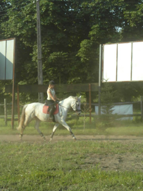 wspomnienia ...