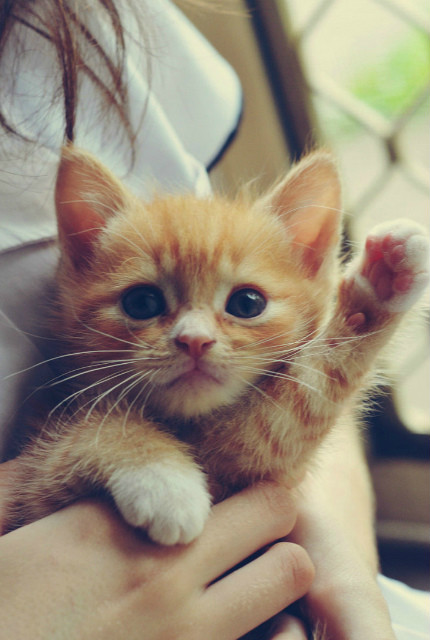 Wsparcie, wsparcie, wsparcie ;)