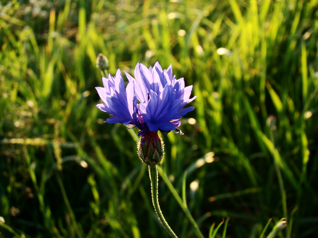 Natura ach ta natura! ;)