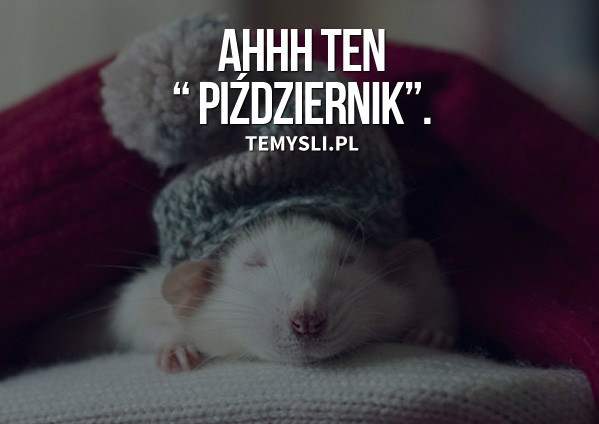 Ludziee to kurwyy 