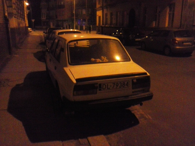 Wyglada na porzucon - Legnica