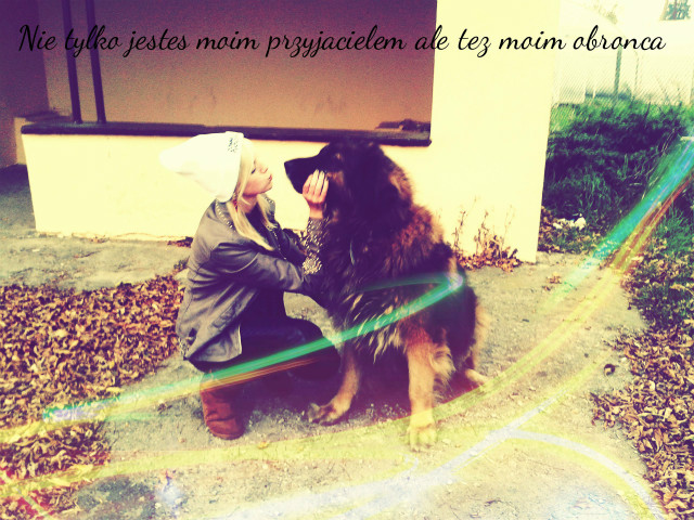 ramzes # 31