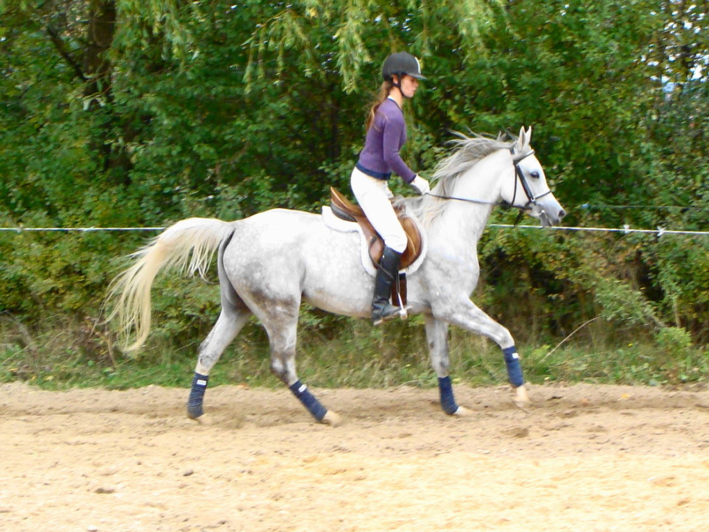 Zilena