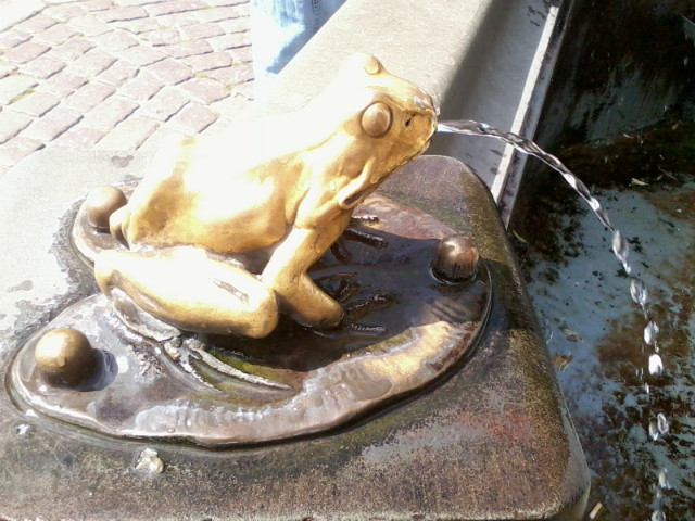 TORUN 