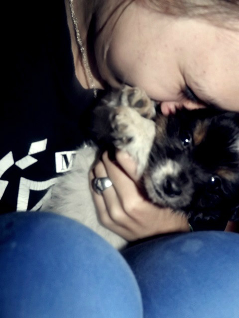 soooodziak  ; *