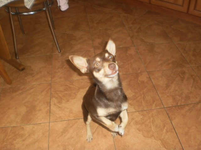 Pysiek ;)