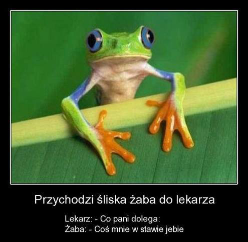 Zmiany