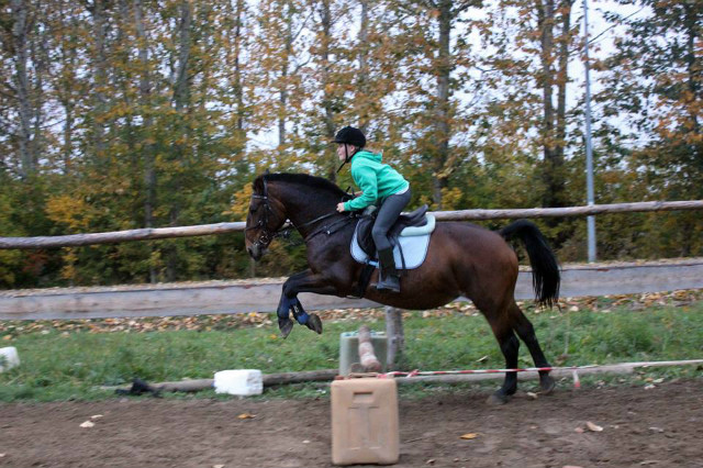 morwka :)