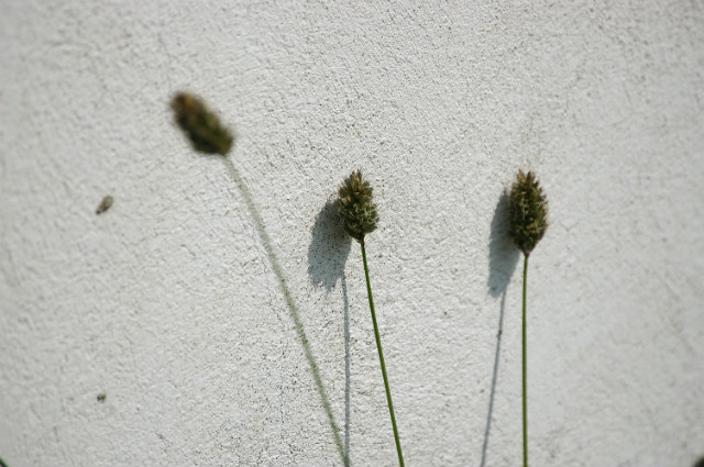 2010
