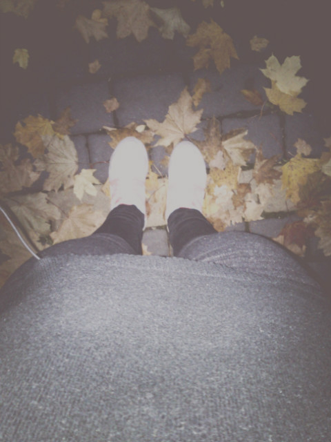 autumn