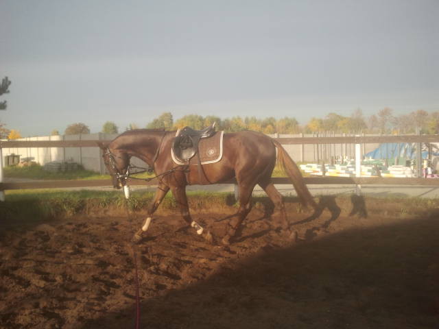 MISIUNKA =***
