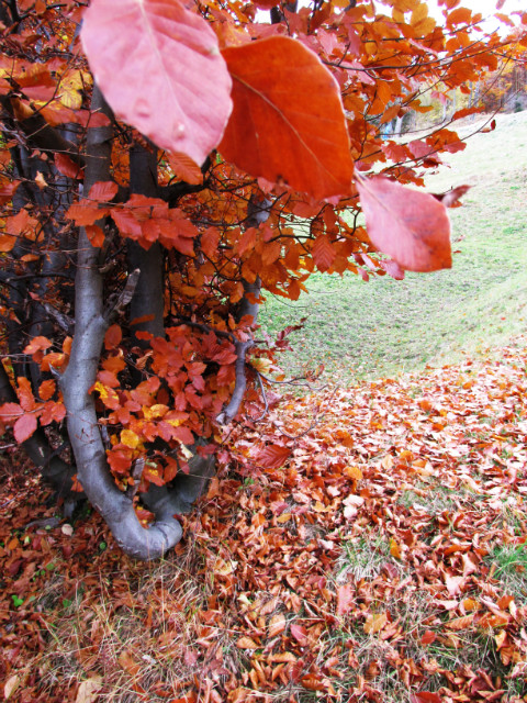 Autumn