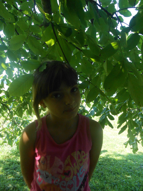 Licie XD