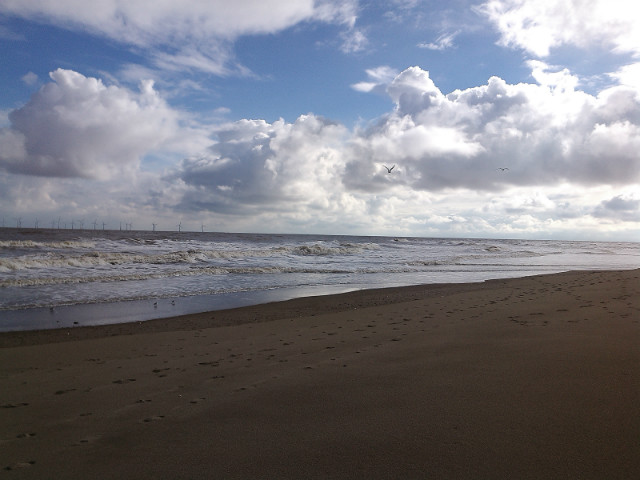 Sea