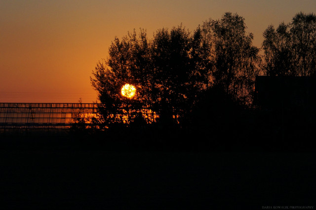sunset