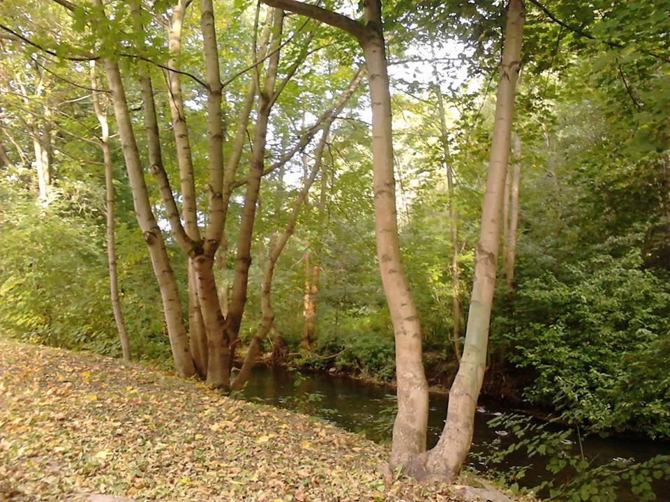 river 