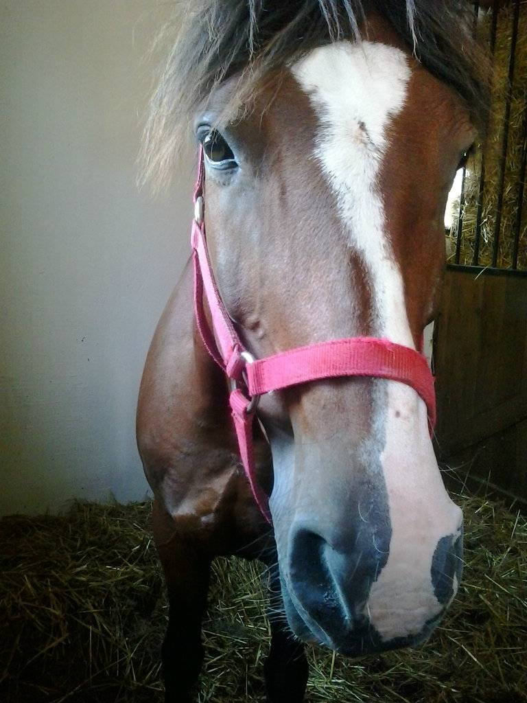 Jutro :*