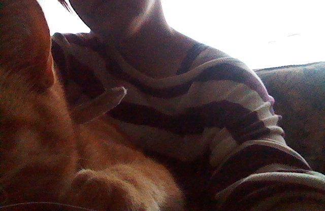 meow