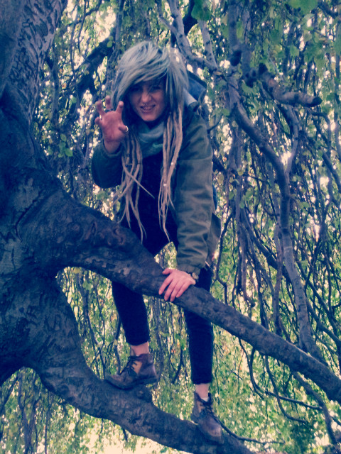 Roar