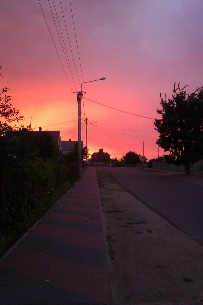 summer 
