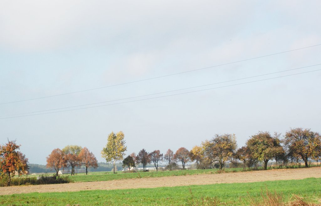 Autumn