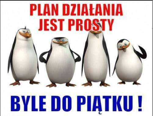 byle#do#pitku