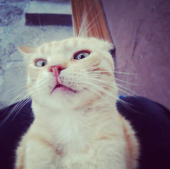 Wtorek *-*