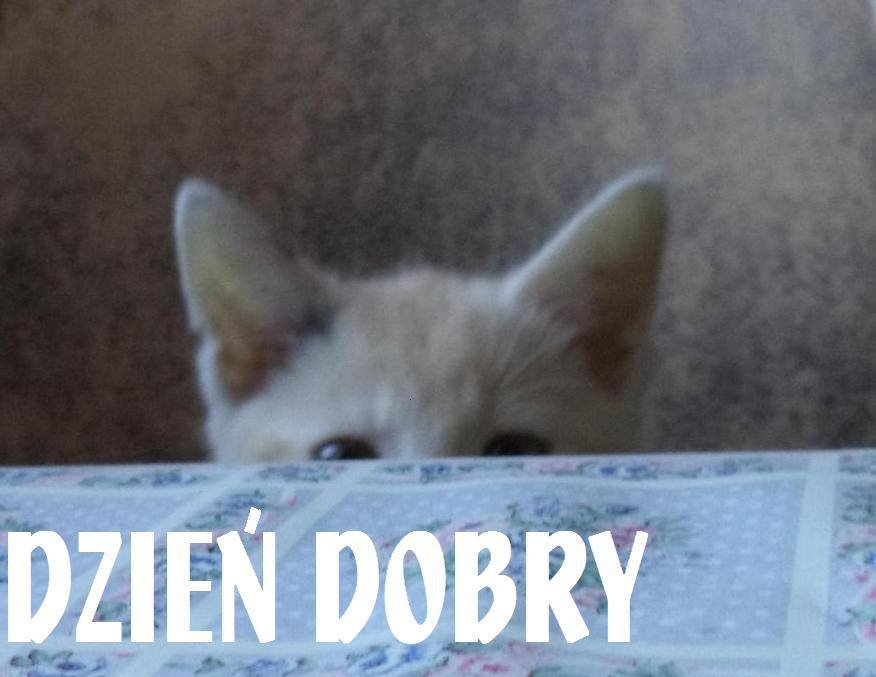 1 / na dobry pocztek