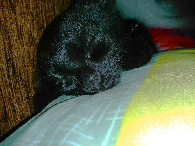 Moja maa Luna ^^