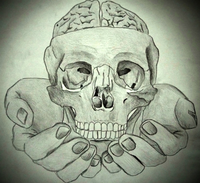 Human skull